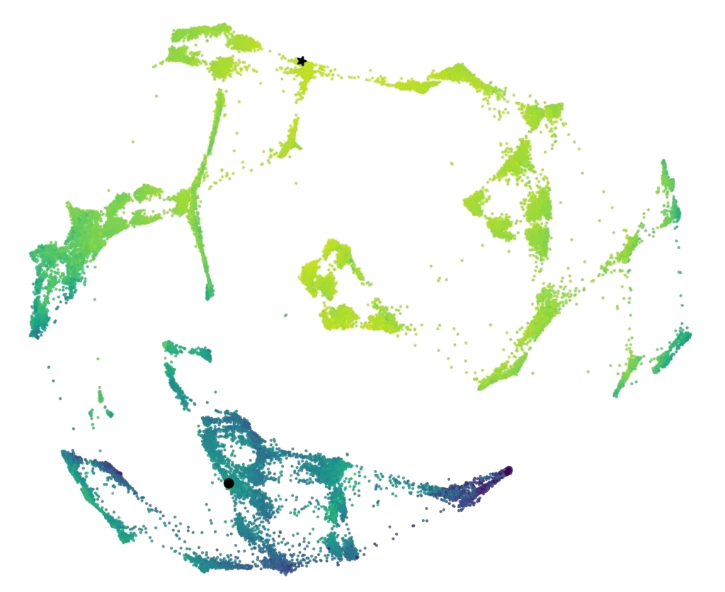 Representation of the affinity landscape of 65536 variants of a broad-spectrum antibody against influenza H1 hemagluttinin