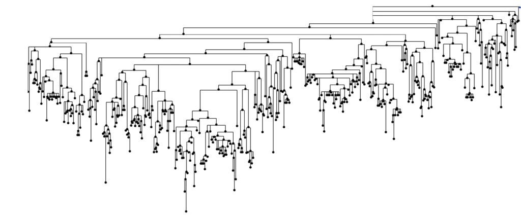 Phylogenetic tree of an antibody family